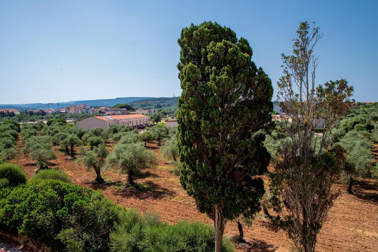 Marco'S House Βίλα Αλγκέρο Εξωτερικό φωτογραφία